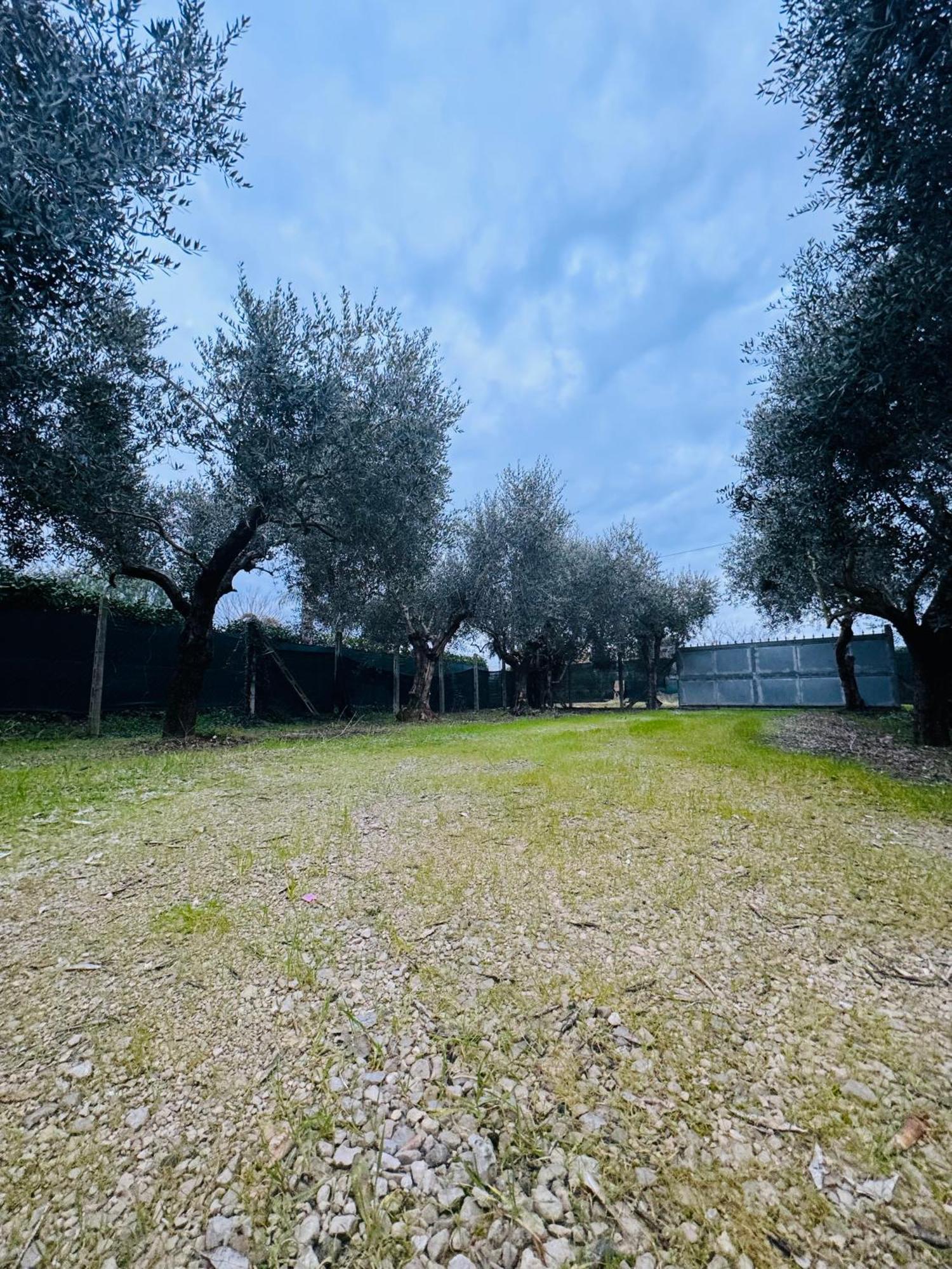 La Perla Di Dea Villa Lido Di Fondi Exterior photo